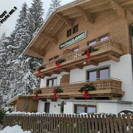 Apartment Waldhaus Opitz Zell am See