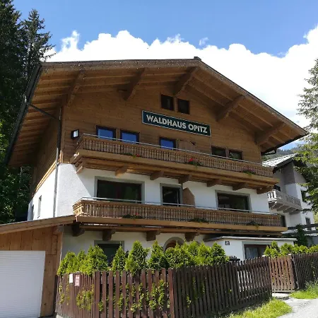 Waldhaus Opitz Apartament